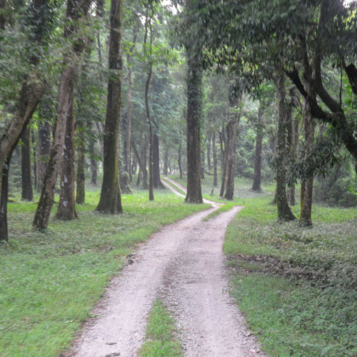 Chapramari Wildlife Sanctuary